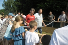 SAM_0310