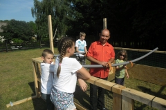 SAM_0347