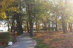 Wszystkich Świętych 019
