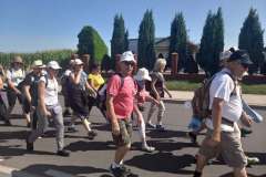 IMG-20210809-WA0000