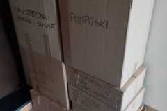 IMG-20220304-WA0013
