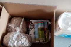 IMG-20220304-WA0014