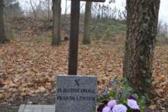 10a_DSC1051