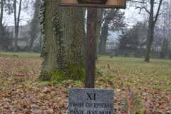 11a_DSC1054