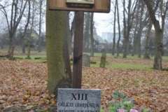 13a_DSC1060